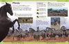 DK Kinderlexikon. Tiere Produktbild-Vorschau 7