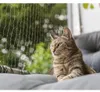 TRIXIE Katzenschutznetz, drahtverstärkt - olivgrün - 6 × 3 Produktbild-Vorschau 2