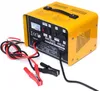 Autonabíjačka 30A 12V/24V 16901 Náhľad obrázku produktu 1