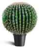 IvoQ Cactus artificiale 55 cm - Realistico e senza Anteprima dell’immagine prodotto 1
