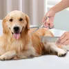 Set de ciseaux Ciseaux pour chiens à bouts ronds Peigne Set Voir les images du produit 11