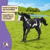 Paint Horse Wallach Náhľad obrázku produktu 10