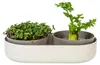 Sprossenschale & Pflanzschale ReGrow | Keimschalen von Produktbild-Vorschau 12