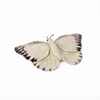 WWF - Plyšová hračka - Motýl (20 cm) realistická plyšová Náhled obrázku produktu 5