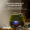 Dinosaurier Produktbild-Vorschau 6