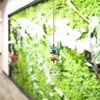 Kristall Sonnenfänger Regenbogen Anhänger 7 Chakra Fenster Produktbild-Vorschau 3