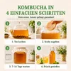 Kombucha Starter Set |  | für 1,5 Liter Kombucha Getränk Produktbild-Vorschau 2