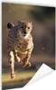 MuchoWow® Poster Leopard - Sprint - Pflanzen 40x60 cm - Produktbild-Vorschau 1