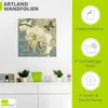 ARTland Wandbild, selbstklebend Orchideen Größe: 100x100 cm Produktbild-Vorschau 3