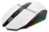 TRUST Trust GXT 110 FELOX mouse Gaming Droite RF Sans fil Voir les images du produit 14