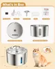 A collage showing the contents of a pet fountain box, a diagram of the assembled fountain with dimensions, and a cat looking at the fountain. Produktbild-Vorschau