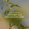 L'Occitane Verveine Eau de Toilette Spray Productafbeelding-voorbeeld 4