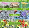 A collage showing different applications of grow lights for plants, including indoor plants, greenhouses, and grow tents, with close-ups of succulents and tomatoes. Náhľad obrázku produktu
