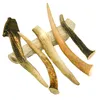 RF-Deer 1 kg (20-30 cm/4-8 pièces) bois de cerf naturel, Voir les images du produit 2