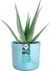 elho® Ocean Cache-pot bleu atlantique Ø 16 cm en plastique Voir les images du produit 3