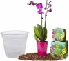 A set for repotting an orchid, including a clear plastic pot, orchid soil, and a pink orchid plant. Produktbild-Vorschau