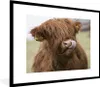 MuchoWow® Gerahmtes Poster Schottischer Highlander - Braun Produktbild-Vorschau 1