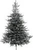 Abete Grandis 180cm gn/ws Anteprima dell’immagine prodotto 7