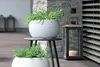 Prosperplast Furu Bowl Blumentopf für Innen- und Produktbild-Vorschau 3