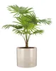 Scheurich Blumentopf aus Keramik,  Farbe: Sesame, 16 cm Produktbild-Vorschau 4