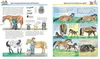 Alles über Pferde und Ponys Voir les images du produit 4