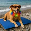 Blaue Haustier-Kühlmatte auf einem Kieselstrand mit einem Hund, der eine Sonnenbrille und eine bunte Lei trägt Náhled obrázku produktu