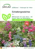 SAFLAX - Schattengewächse - Mix - 1000 Samen Produktbild-Vorschau 1