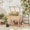 A wooden mini greenhouse with plants, pots, and a watering can arranged on a patio or deck. Produktbild-Vorschau