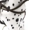 Koń na biegunach Sieglinde Bayer CARLOTTA 46 cm 405-06 Podgląd zdjęcia produktu 3