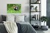 MuchoWow® Poster Hamster läuft vorsichtig durch ein Produktbild-Vorschau 4