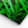 Bild auf Leinwand - Leinwandbild - Natur Gras Wasser Produktbild-Vorschau 5