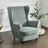 A grey wingback armchair is shown in a room with a plant in the background. Podgląd zdjęcia produktu