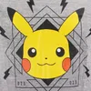 Pokémon Pikachu Kinder kurzarm T-Shirt – Grau / 110/116 Produktbild-Vorschau 4