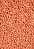 KoRo I Rote  Linsen 2 kg Produktbild-Vorschau 3