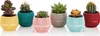 Lot de 6 pots de fleurs pour cactus de différentes Voir les images du produit 1
