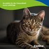 Canina Pharma Rinderblutpulver 250g Produktbild-Vorschau 8