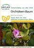 Artikelbild 1 von 'Orchideen-Baum' aus der Kategorie Exotische Samen Náhled obrázku produktu