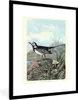 MuchoWow® MuchoWow® Gerahmtes Poster Antiker Vogel Druck Produktbild-Vorschau 1
