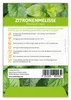 Zitronenmelisse (100 Tütchen) | Melissensamen von FLORTUS Produktbild-Vorschau 4