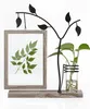 A decorative shelf display featuring a wooden picture frame with a pressed leaf, a metal tree-like structure with decorative leaves, and a glass vase with a plant cutting. Produktbild-Vorschau
