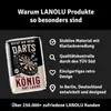 LANOLU Retro Blechschild Dart, Bar, Kneipen und Partykeller Produktbild-Vorschau 10