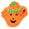 Kürbis-Hundekleidung,Halloween-Kürbis-Hundekleidung,Hunde-Wi Produktbild-Vorschau 6