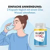 GlucoVital Forte Kapseln | Reich an Zink und Chrom | Produktbild-Vorschau 3