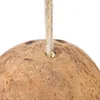 Vogelspielzeug Kokosnusshaus mit Leiter für Sittiche & Produktbild-Vorschau 3