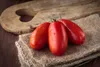 SAFLAX - BIO - Paradajka - San Marzano - Solanum Náhľad obrázku produktu 5