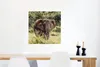 MuchoWow® Poster Elefant - Gras - Natur 50x50 cm - Produktbild-Vorschau 4