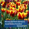 SPERLI Maxi Trompeten-Narzissen Mischung Narcissus Produktbild-Vorschau 6