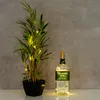 A bottle of Tullamore Dew Irish Whiskey filled with fairy lights next to a potted bamboo plant with fairy lights. Produktbild-Vorschau