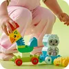 LEGO® Duplo 10412 Vláček se zvířátky Náhled obrázku produktu 15