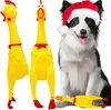 A collage of squeaky chicken toys and a dog wearing a Santa hat. Náhľad obrázku produktu